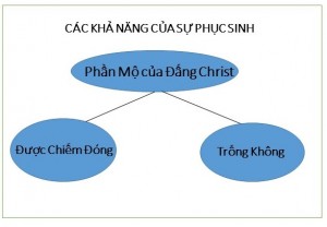 Presentation1 (3)